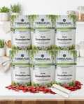 Freeze Dried Strawberry 6 Pack Bundle